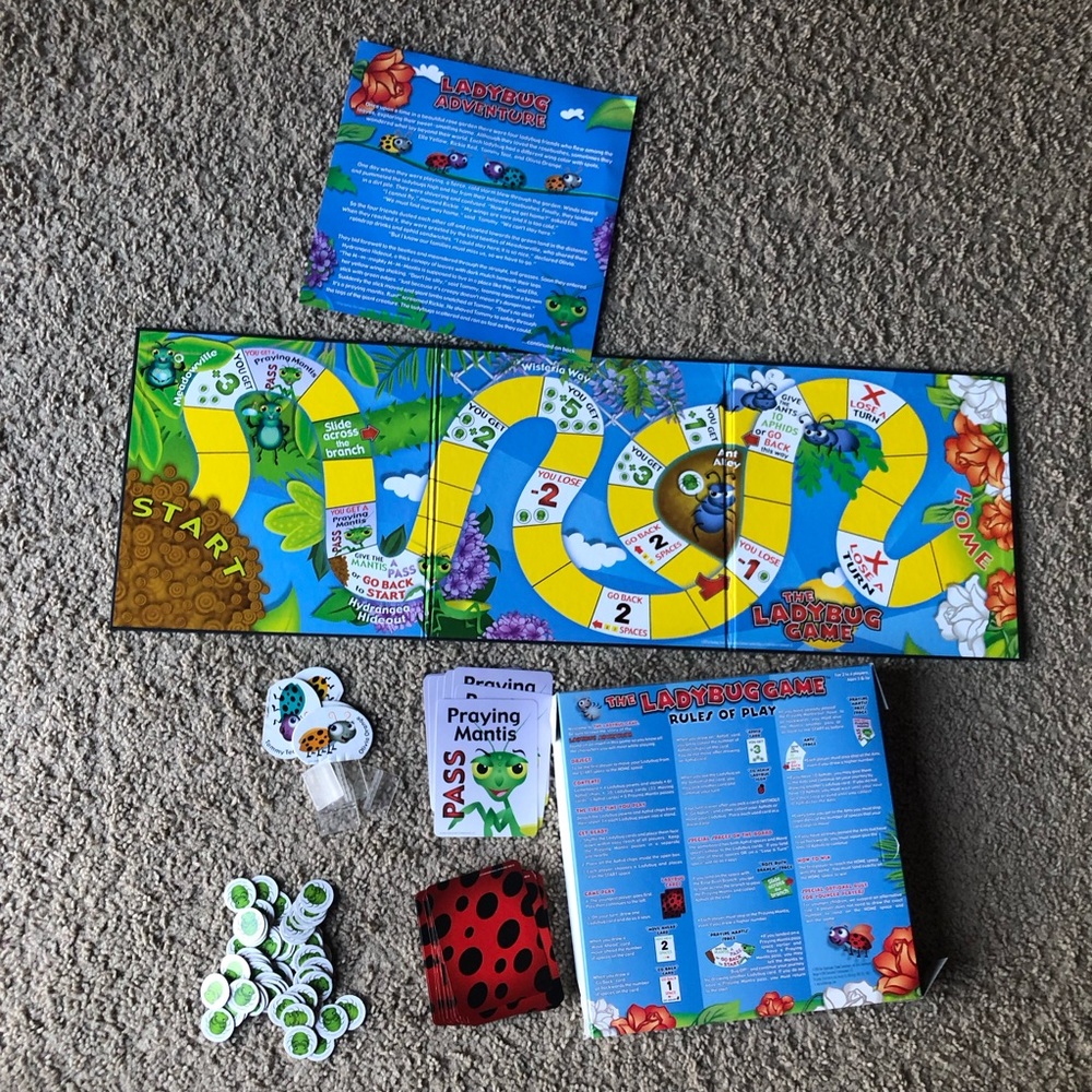 The Lady Bug Game - Picture 2 of 11